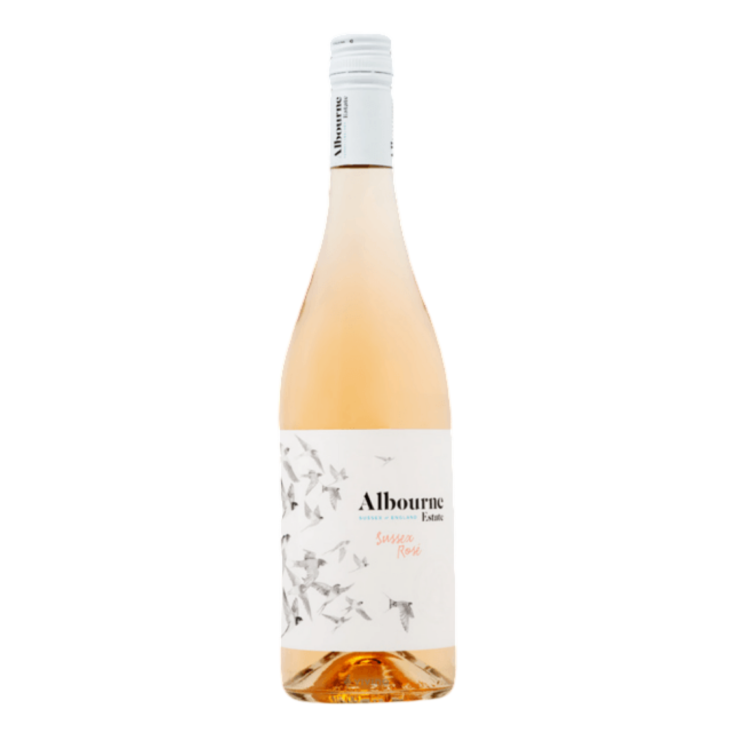 Albourne Estate Sussex Rose 2022