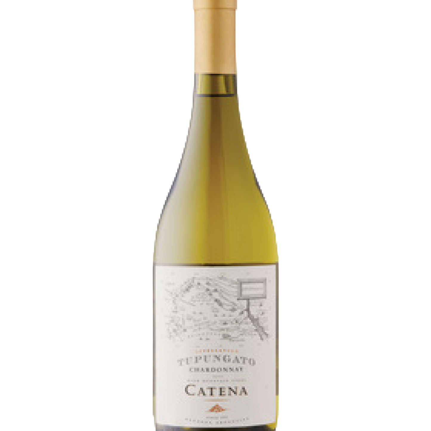 Catena Appellation Chardonnay 2020