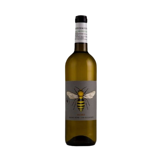 Bodegas Verde Macabeo Blanco D.O. Cariñena 2022